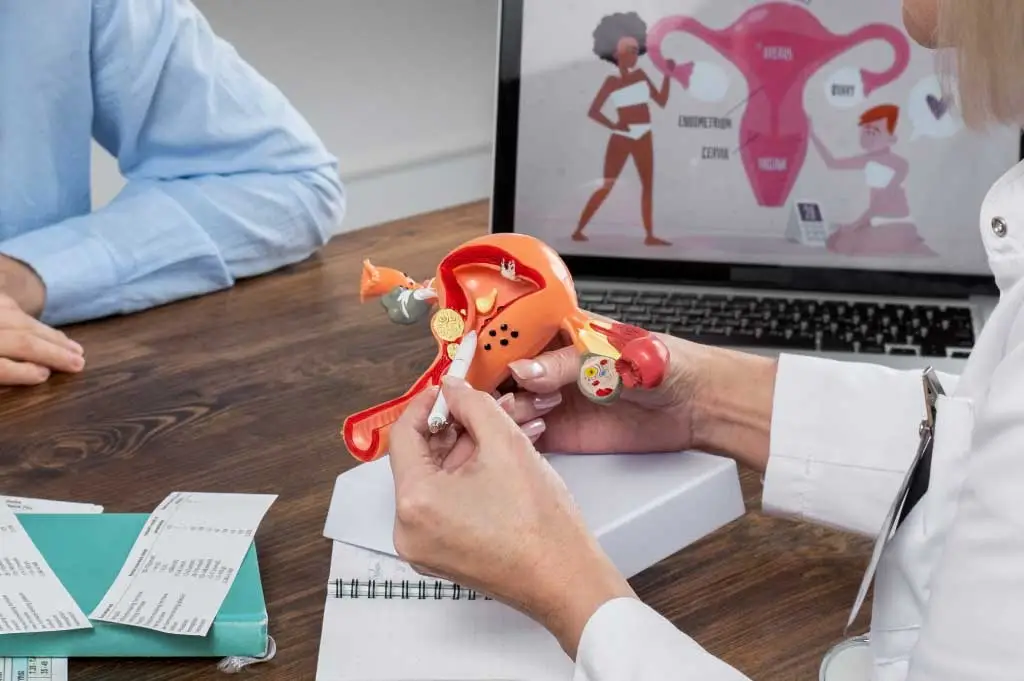 Fibroids